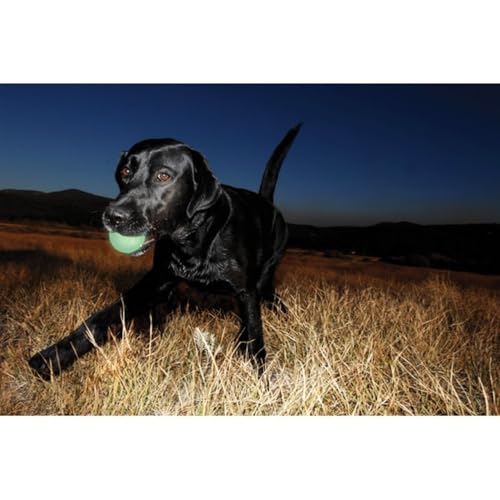 Chuckit! MAX Glow Ball X-Large - Extra-Large, 1-Pack, Multi