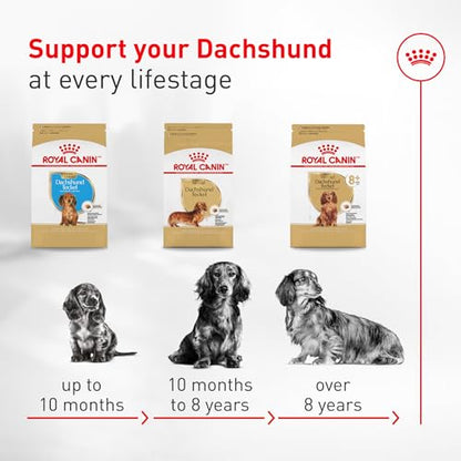 Royal Canin Breed Health Nutrition Dachshund Adult Dry Dog Food, 2.5 lb Bag