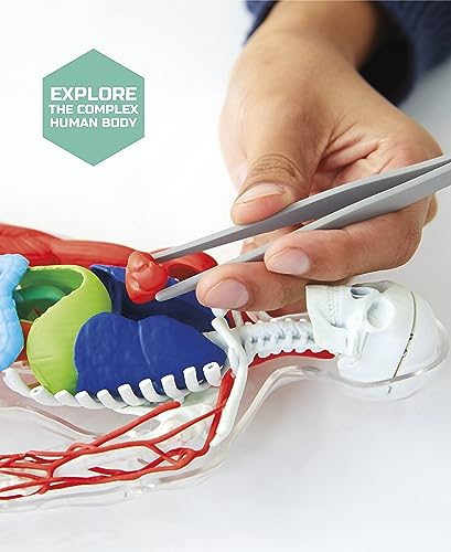 Discovery Toy Human Anatomy Kit