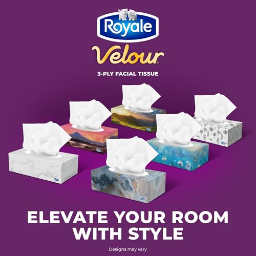 Royale Velour Facial Tissue, 6 Boxes, 82 Tissues Per Box | 3 ply