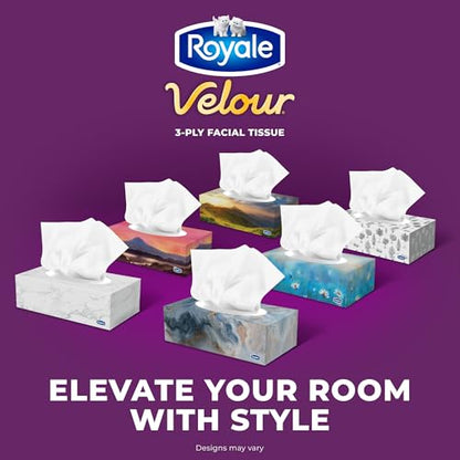 Royale Velour Facial Tissue, 6 Boxes, 82 Tissues Per Box | 3 ply