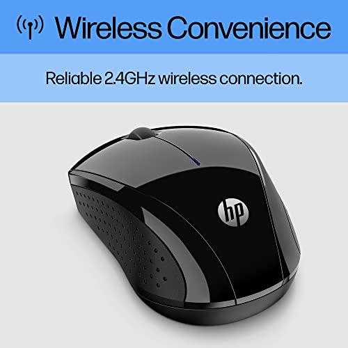 HP X3000 BLK G3 WRLS Mouse