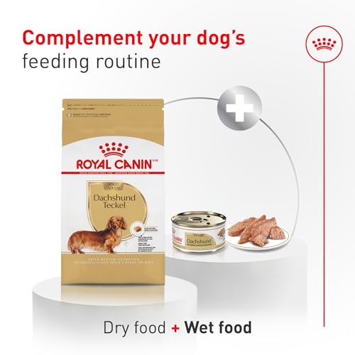 Royal Canin Breed Health Nutrition Dachshund Adult Dry Dog Food, 2.5 lb Bag