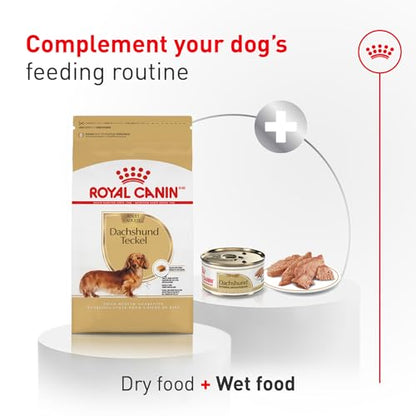 Royal Canin Breed Health Nutrition Dachshund Adult Dry Dog Food, 2.5 lb Bag