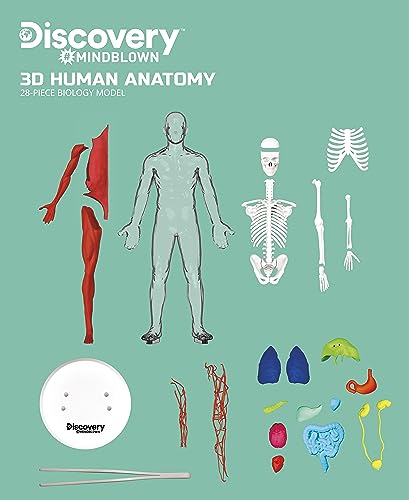 Discovery Toy Human Anatomy Kit
