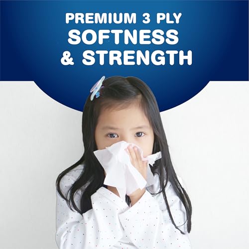 Scotties Supreme 3 Ply Soft & Strong Facial Tissue, Hypoallergenic and Dermatologist Tested, 6 Boxes, 81 Tissues per Box