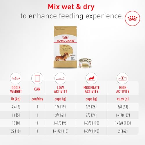 Royal Canin Breed Health Nutrition Dachshund Adult Dry Dog Food, 2.5 lb Bag