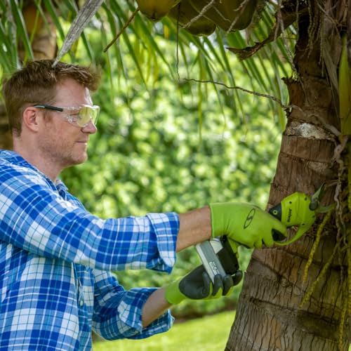 Sun Joe 24-Volt IONMAX Cordless Handheld and Long-Reach Pruner and Lopper Tool
