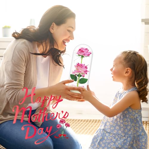Olrla Artificial Rose Flower in PC Dome Present for Women Mom Wife Daughter