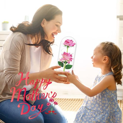 Olrla Artificial Rose Flower in PC Dome Present for Women Mom Wife Daughter
