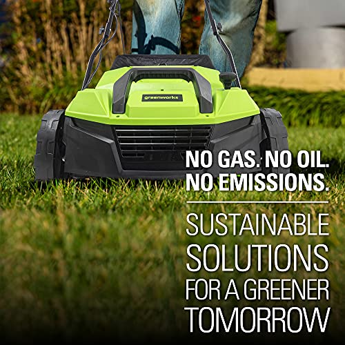 Greenworks 13 Amp 14-Inch Corded Dethatcher/Scarifier, DT13B00
