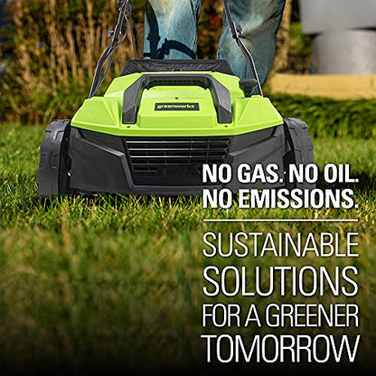 Greenworks 13 Amp 14-Inch Corded Dethatcher/Scarifier, DT13B00
