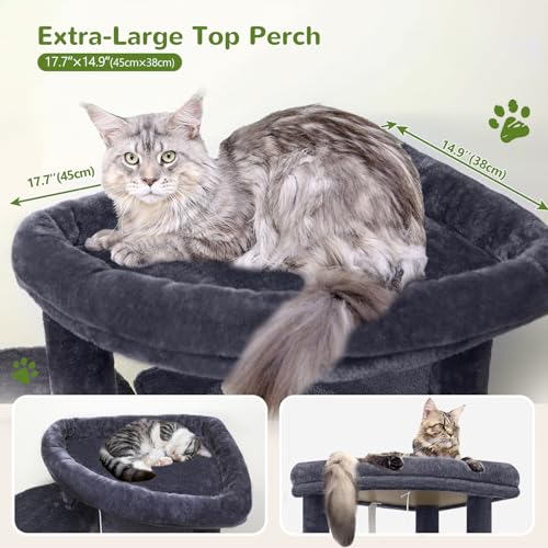 Globlazer Corner Stable Cat Tree Tower for Indoor Large Cats, Dark Grey | 66in Tall Curved Series Large Cat Condo with 6 Sisal Scratching Posts, 2 Spacious Caves, Large Hammock, Hanging Basket, C66