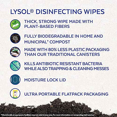 Lysol Disinfecting Wipes Flatpack, Citrus, Biodegradable Wipes, Kills 99.9% of Viruses & Bacteria, Bulk Pack of 4, 336 count (4 x 84 count)