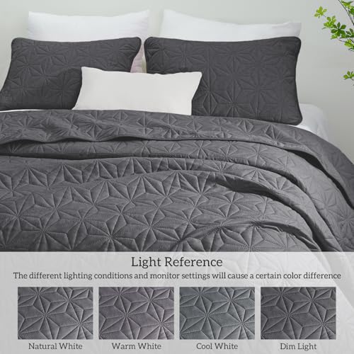 Whale Flotilla Soft King Quilt Bedding Set Lightweight Bedspread | Grey Microfiber Breathable Quilts, Modern Comforter Set Coverlet for All Seasons with 2 Pillow Shams, 96x104 Inch