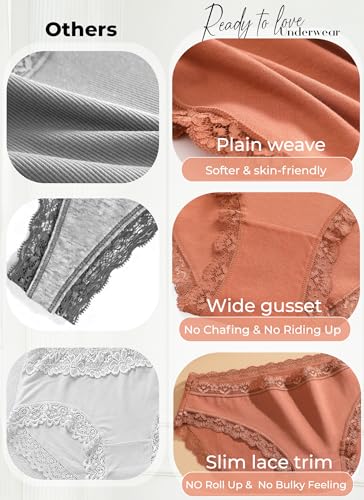 READY TO LOVE Underwear Womens Breathable Cotton Cheeky Bikini Panties Lace Lingerie for Women 6 Pack