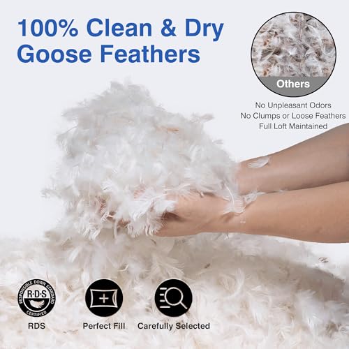 zibroges Goose Feather Pillow Queen Size Pack of 2, Medium Bed Pillows