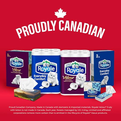 Royale Velour Facial Tissue, 6 Boxes, 82 Tissues Per Box | 3 ply