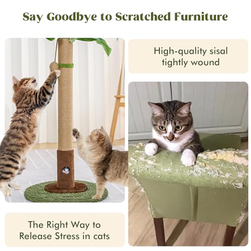 Woochpet Cat Scratching Post 35 Inch with Rat Hole and Sisal Rope for Adult Cat and Kitten, Green