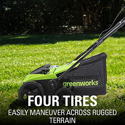 Greenworks 13 Amp 14-Inch Corded Dethatcher/Scarifier, DT13B00