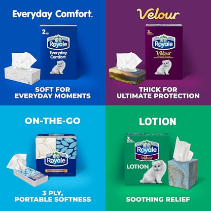 Royale Velour Facial Tissue, 6 Boxes, 82 Tissues Per Box | 3 ply