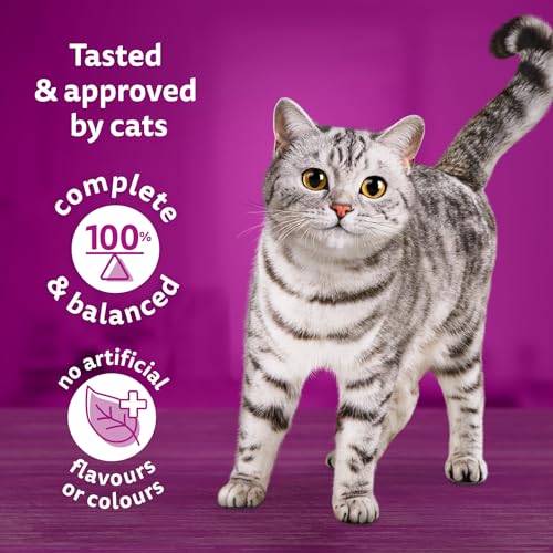 WHISKAS Meaty SELECTIONS Adult Dry Cat Food, Real Chicken Flavour, 2kg