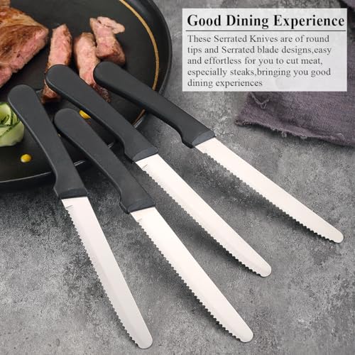 Steak Knives Set of 12, ReaNea Stainless Steel Steak Knife Set, Serrated Steak Knives, Gifts for Home, Restaurant, Parties, Wedding, Camping, Outdoor