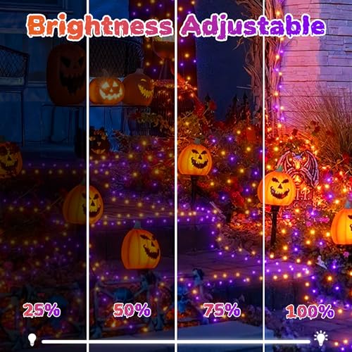 Tcamp 105FT 300 LED Orange Purple Halloween Lights Remote Timer Memory
