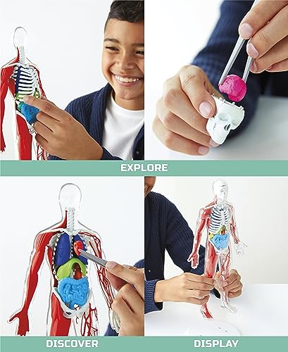 Discovery Toy Human Anatomy Kit