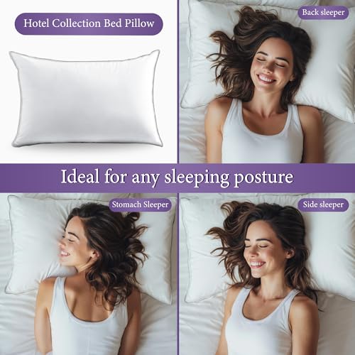 SANSWAN King Size Goose Feathers Down Pillows 2 Pack, Medium Firm Pillow