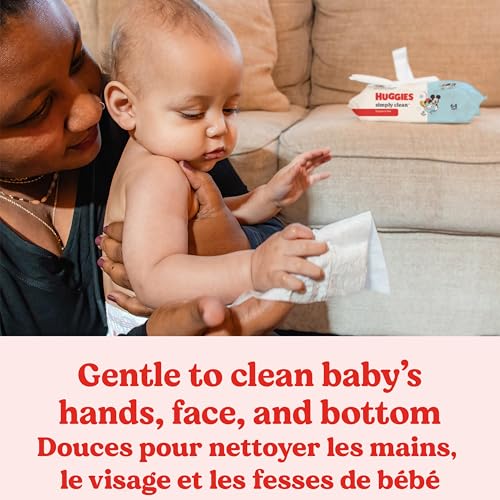 Huggies Simply Clean Fragrance-Free Baby Wipes, 6 Flip-Top Packs (384 Wipes Total)