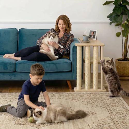 Large Cat Scratcher Side Table for Couch, Couch Protector End Table