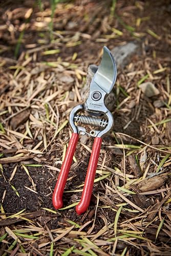 Corona Cutting Tools BP 3160 Classic Cut Forged Bypass Pruner, 3/4-Inch