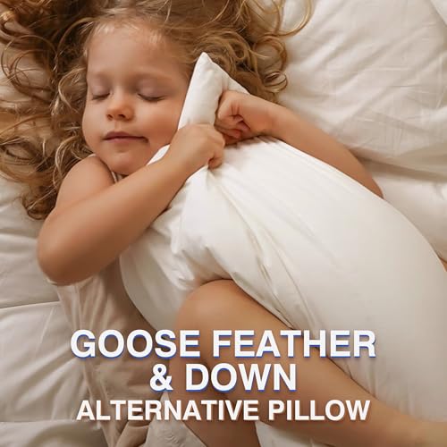zibroges Goose Feather Pillow Queen Size Pack of 2, Medium Bed Pillows