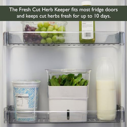 Cole & Mason H105159 Tealby Fresh Cut Herb Keeper, Herb Pot/Storage/Herb Saver/Box, Acrylic, Includes Removable Dividers, 2 Year Guarantee,White/Clear (H) 230mm x (W) 185mm x (D) 120mm