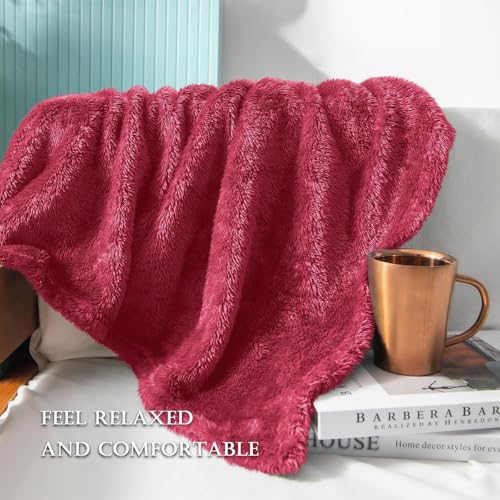Exclusivo Mezcla Fuzzy Plush Fleece Bed Blanket King Size, Deep Red