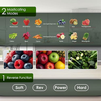 WHALL Touch Screen Juicer Machines, Cold Press Juicer with Large Feed Chute | Stainless Steel Masticating Juicers, Anti-clog, Easy to Clean, Vegetable & Fruit, High Juice Yield, 2 Speed Modes, Silver