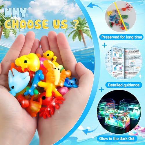 wookidel Aqua Fairy Water Gel Kit for Kid, Magic Water Elf Toy Kits