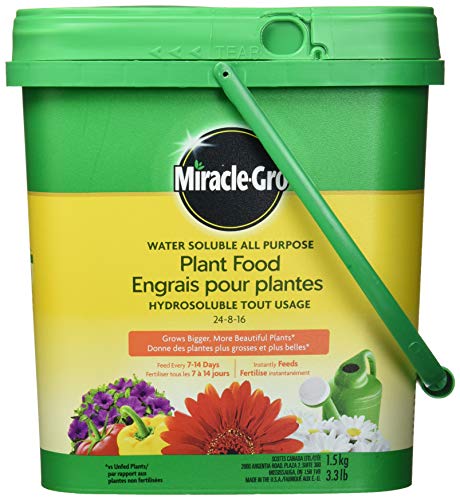 Miracle-Gro Water Soluble All Purpose Plant Food, 1.5kg | Instantly Feeds All Flowers, Veggies, Trees & Shrubs for Bigger, More Beautiful Plants