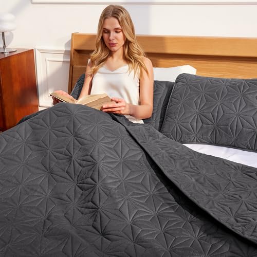 Whale Flotilla Soft King Quilt Bedding Set Lightweight Bedspread | Grey Microfiber Breathable Quilts, Modern Comforter Set Coverlet for All Seasons with 2 Pillow Shams, 96x104 Inch