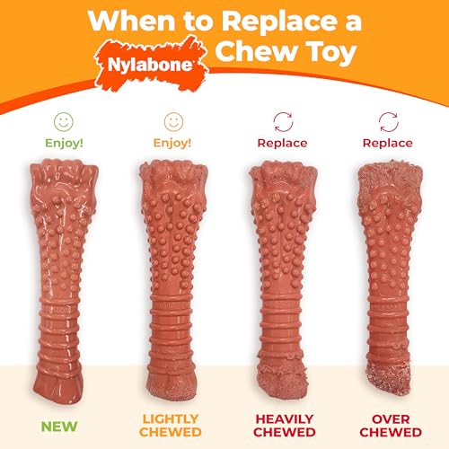Nylabone DuraChew Textured Ring Bone, Chicken, Petite