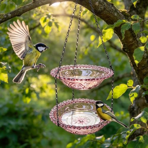 Outdoor 2-Tier Hanging Bird Feeder Hummingbird Bathing Tray for Gardens Patios and Backyards Decorative Birdbath for Birdwatching and Feeding
