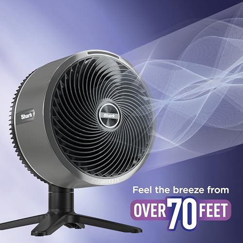 Shark FlexBreeze TableMate Tabletop Fan, Charcoal, FA151CBRN