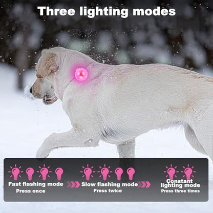 AHJ Dog Collar Light, 2 Pack Dog Safety Lights for Night Walking, USB-C Rechargeable Light Clip-On LED for Kids' Backpacks, Dogs, Runners, Joggers, Cyclists, Camping & Hiking (Pink and Blue)