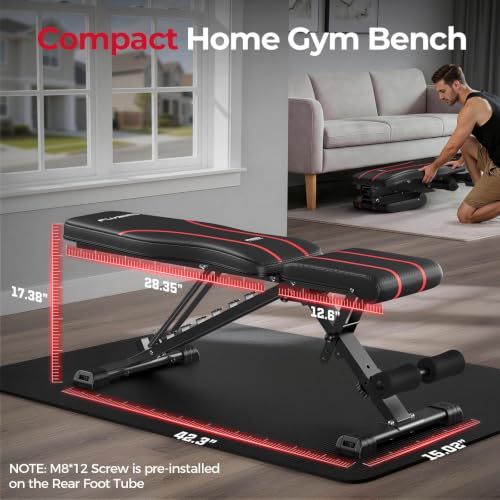 FLYBIRD Adjustable Weight Bench, Full Body Workout Bench for Home Gym