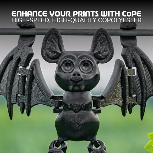 Polymaker Panchroma CoPE 3D Printer Filament 1.75mm, 1kg, Black