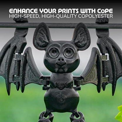 Polymaker Panchroma CoPE 3D Printer Filament 1.75mm, 1kg, Black