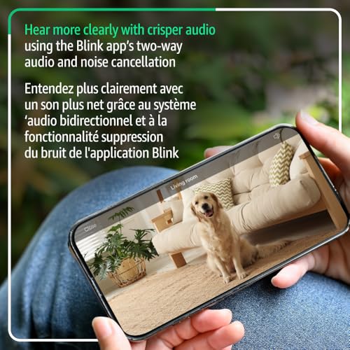 Blink Mini 2K+ (newest model) – Plug-in Home & Pet Security Camera with 2K video resolution, colour night vision, enhanced audio, motion detection – 1 camera (Black)