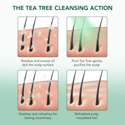 Botanic Hearth Tea Tree Shampoo 8 fl oz & Conditioner 4 fl oz
