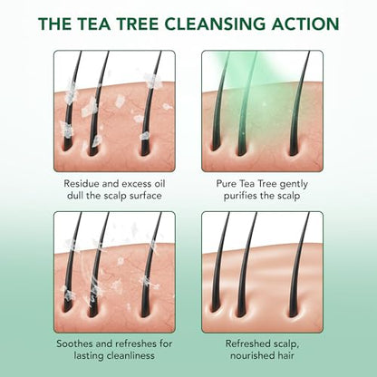 Botanic Hearth Tea Tree Shampoo 8 fl oz & Conditioner 4 fl oz